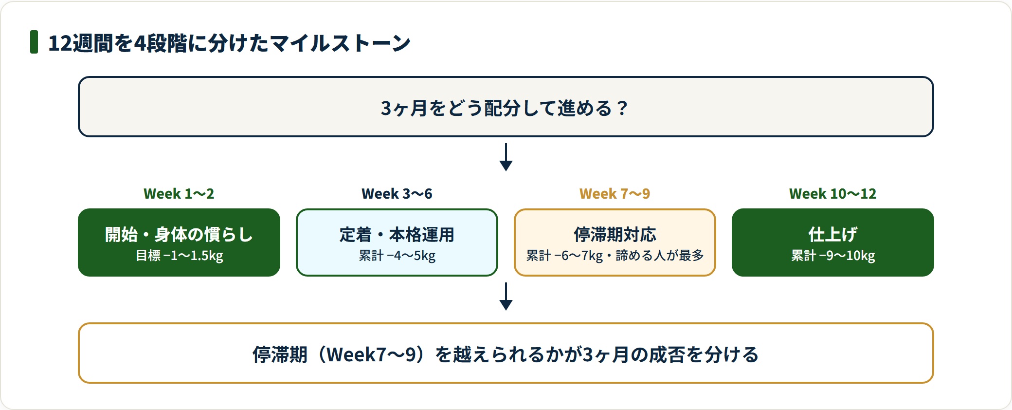 12週間を慣らし・本格運用・停滞期対応・仕上げの4段階に分けたマイルストーンの図。