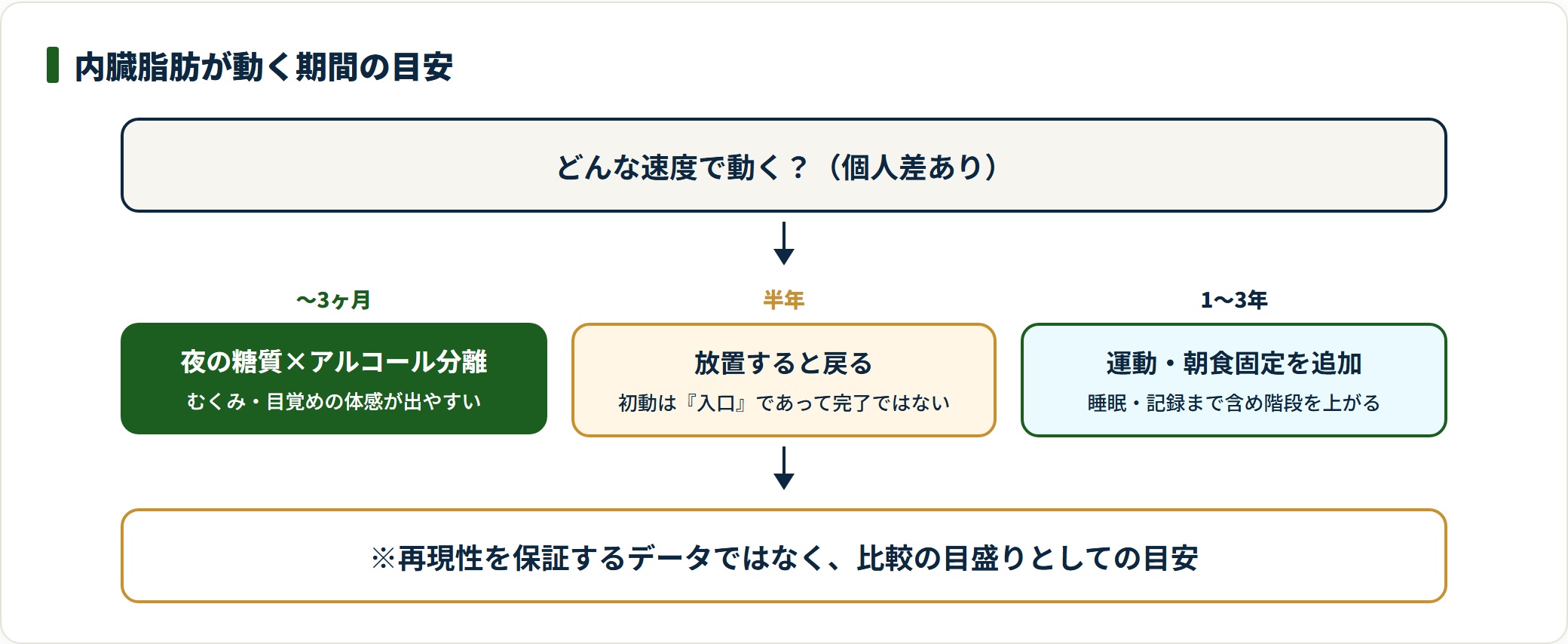 内臓脂肪が動く期間を3ヶ月・半年・1〜3年の段階で示したフロー図。