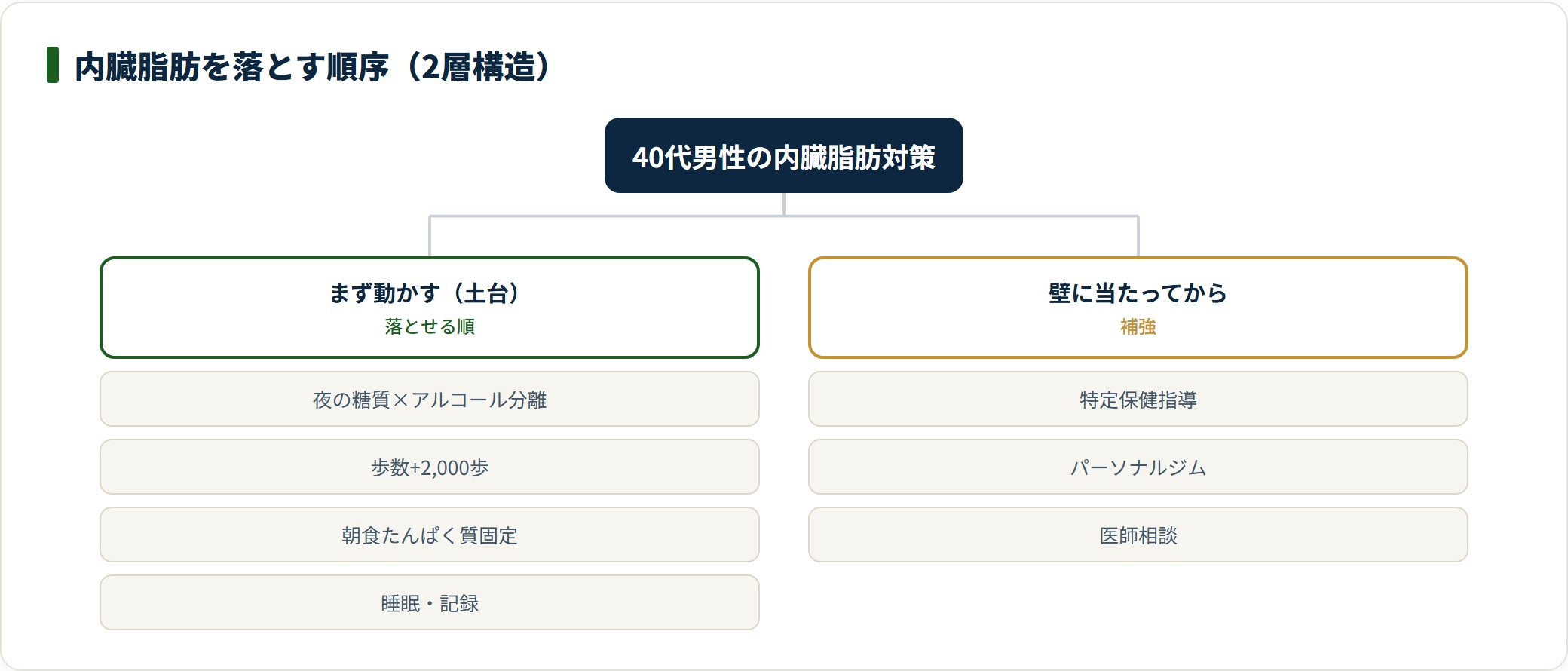 生活改善の土台と、壁に当たってからの補強策を分けた内臓脂肪対策の分類図。