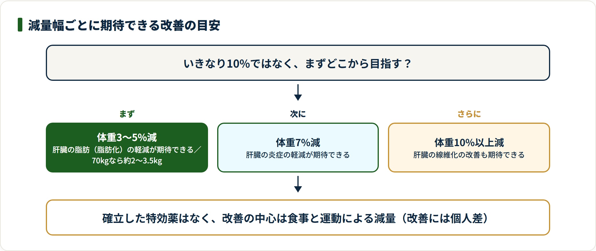 体重3〜5%・7%・10%減で期待できる肝臓の改善を段階で示した図。