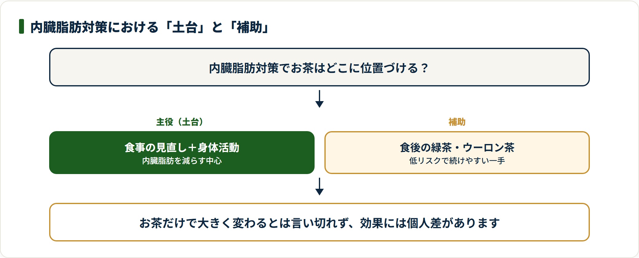 内臓脂肪対策の土台は食事と身体活動で、お茶は補助という位置づけを示した図。