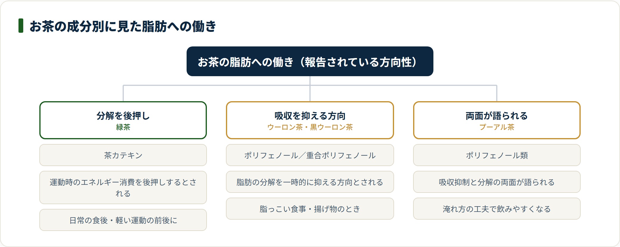 緑茶は分解、ウーロン茶は吸収抑制、プーアル茶は両面と、お茶ごとの働きの方向性を分類した図。