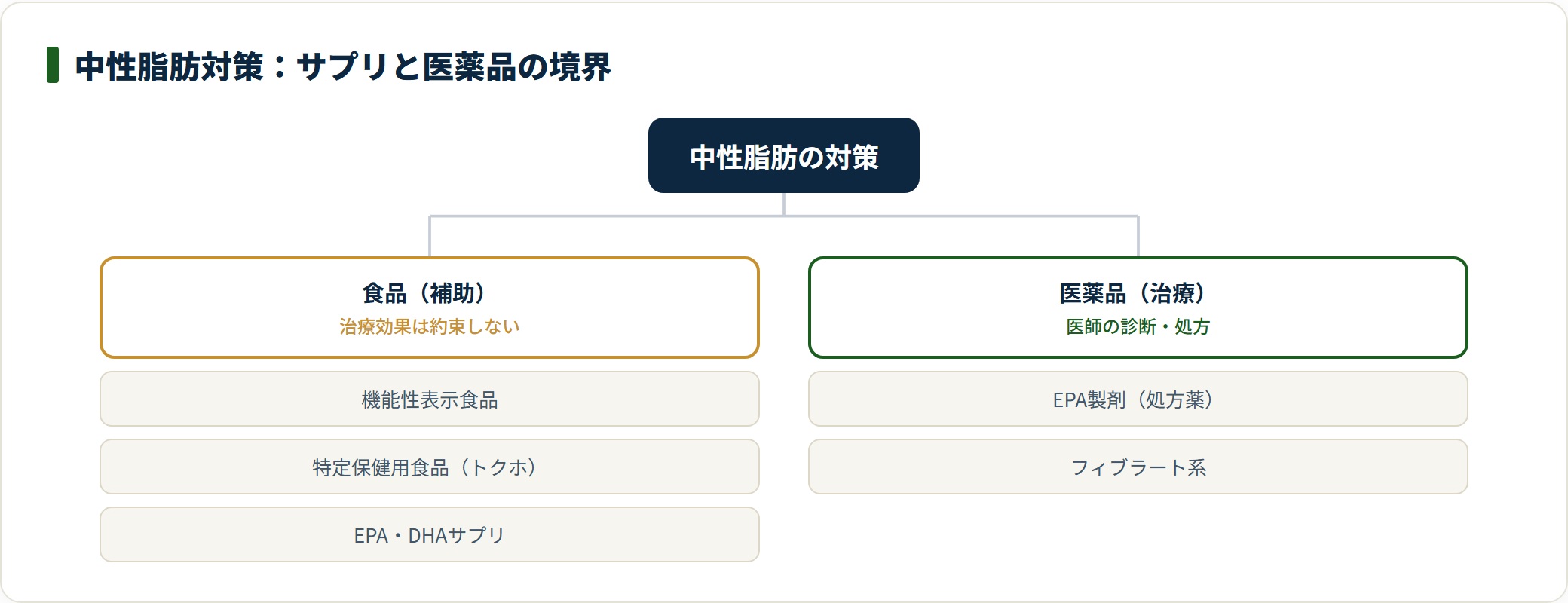 中性脂肪対策におけるサプリ(食品)と医薬品の境界を示した分類図。