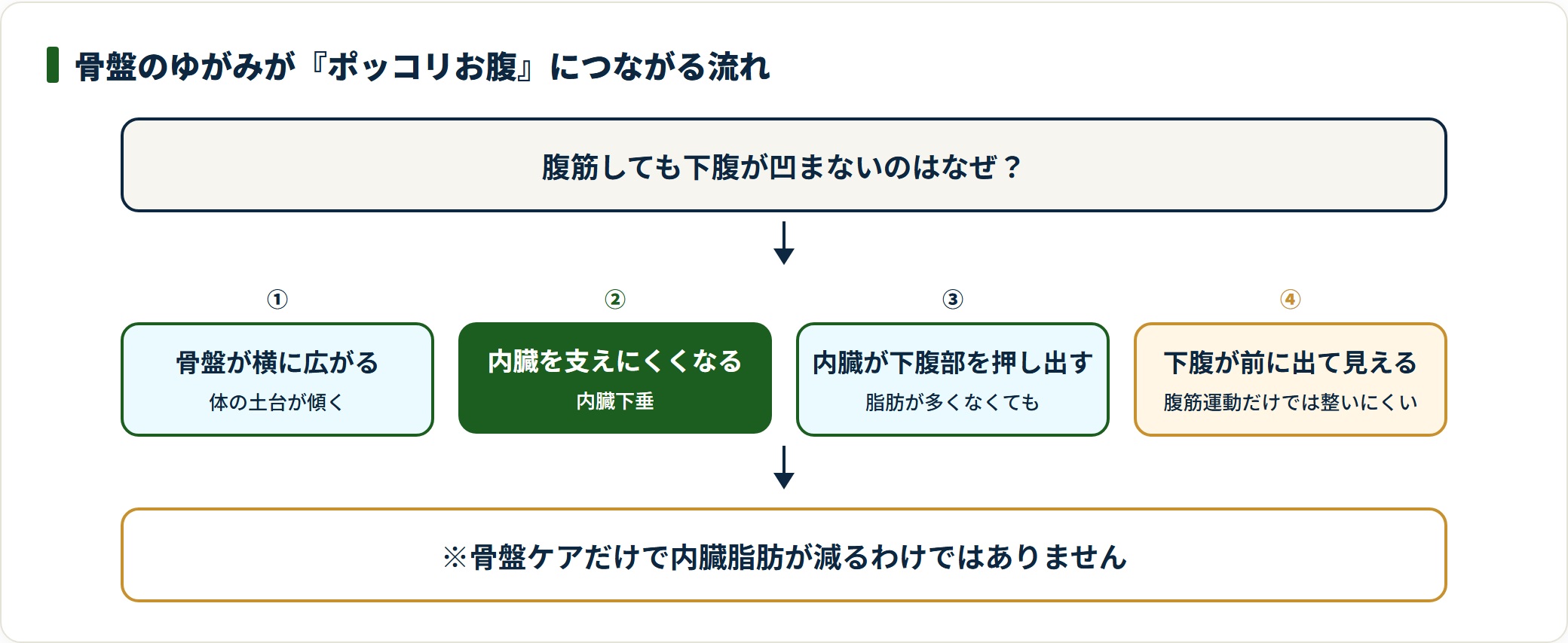 骨盤のゆがみから内臓下垂、下腹が出て見えるまでの流れを示したフロー図。