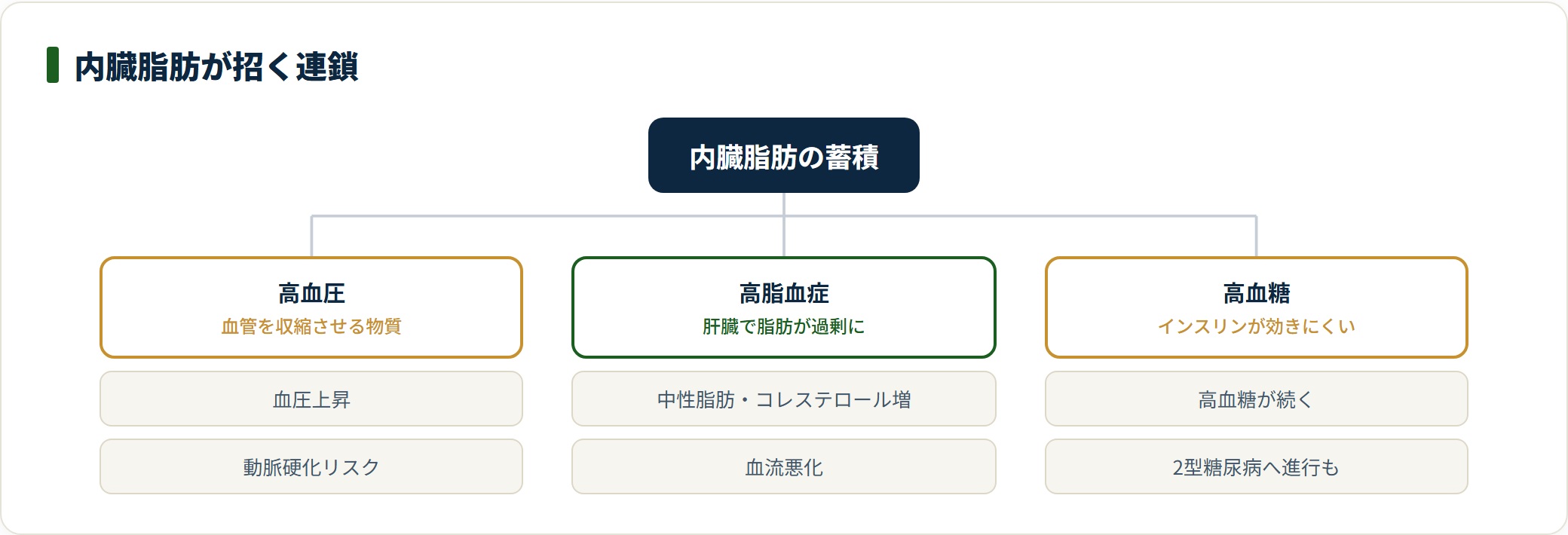 内臓脂肪の蓄積が高血圧・高脂血症・高血糖を招く連鎖を示した分類図。