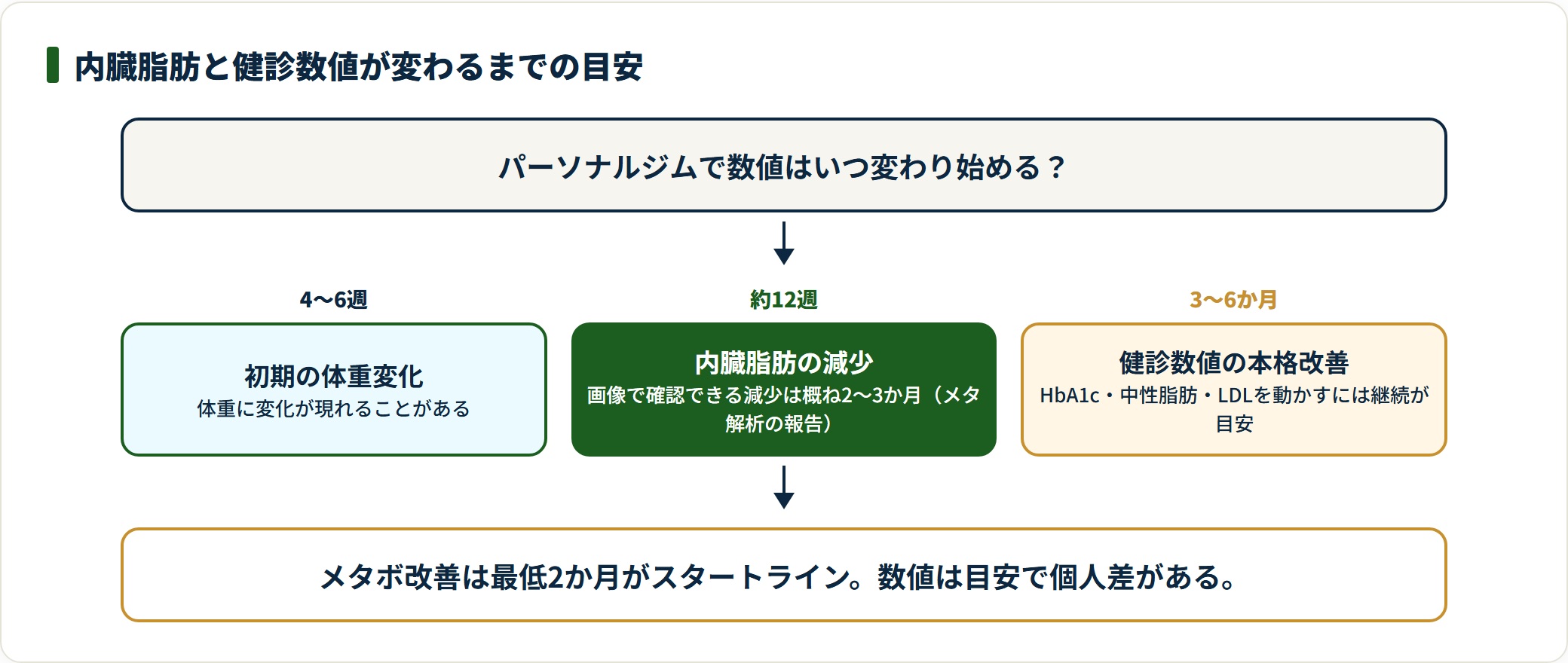 内臓脂肪は4〜6週で体重変化、約12週で減少、3〜6か月で健診数値改善が目安であることを示す図。
