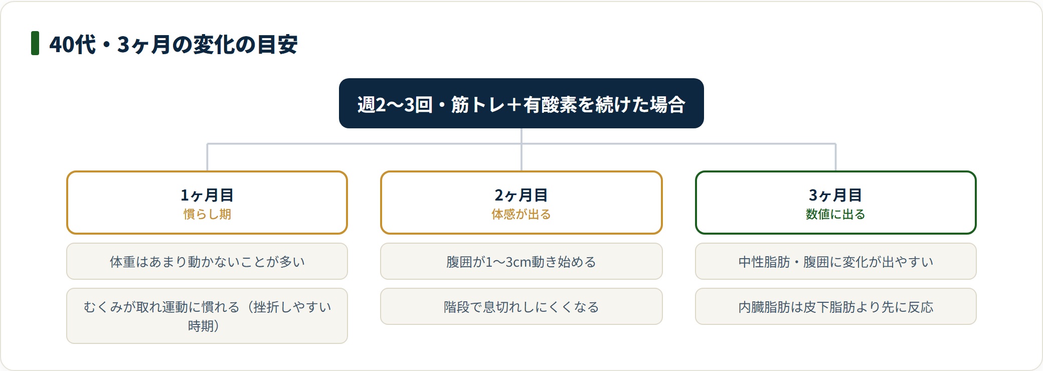 1〜3ヶ月で体重より腹囲・中性脂肪に変化が出る進み方を段階で示した図。