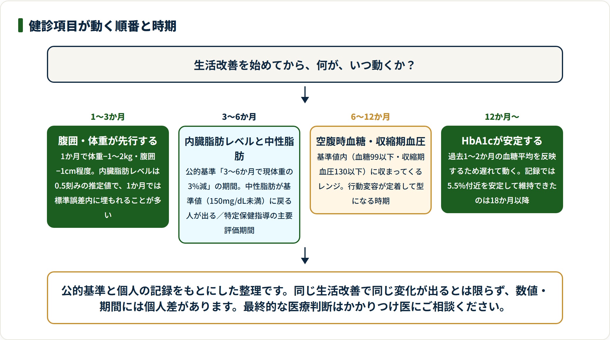 内臓脂肪の生活改善で健診項目が動く順番を、1〜3か月から12か月以降まで4段階に分けて示した図。