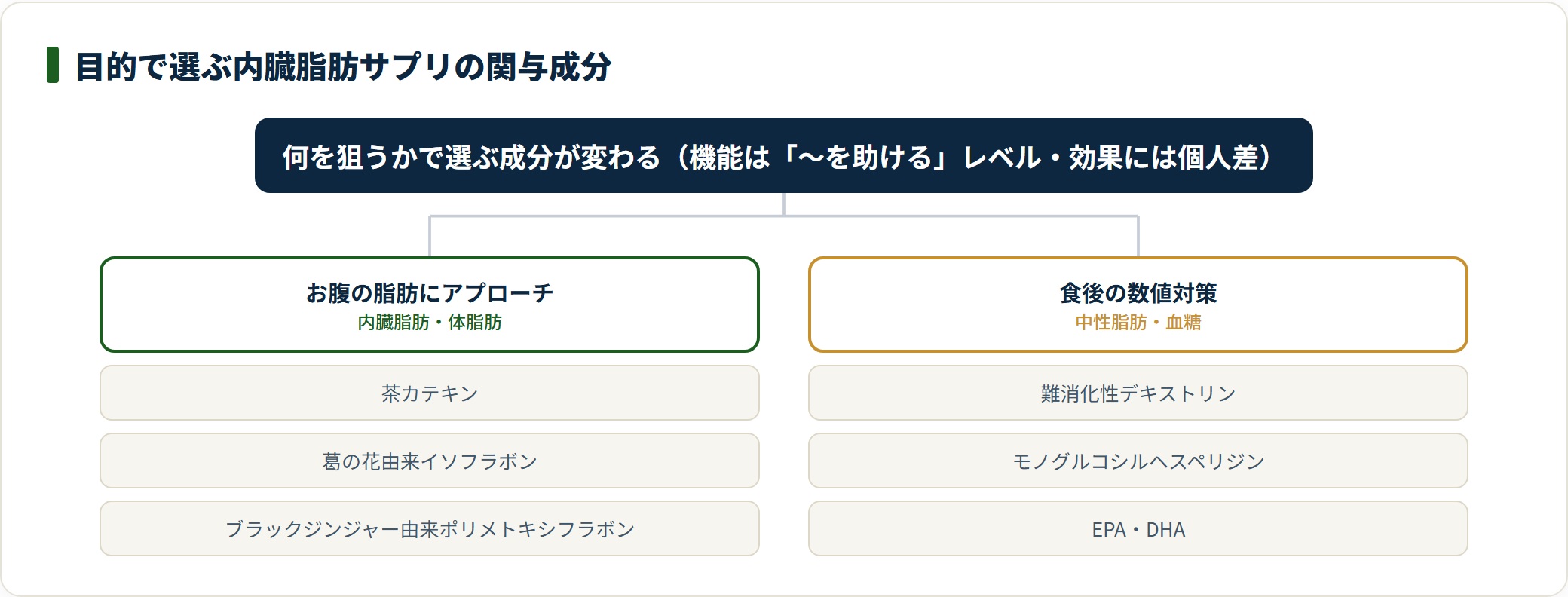 お腹の脂肪向けと食後の中性脂肪・血糖向けに関与成分を目的別に分類した図。