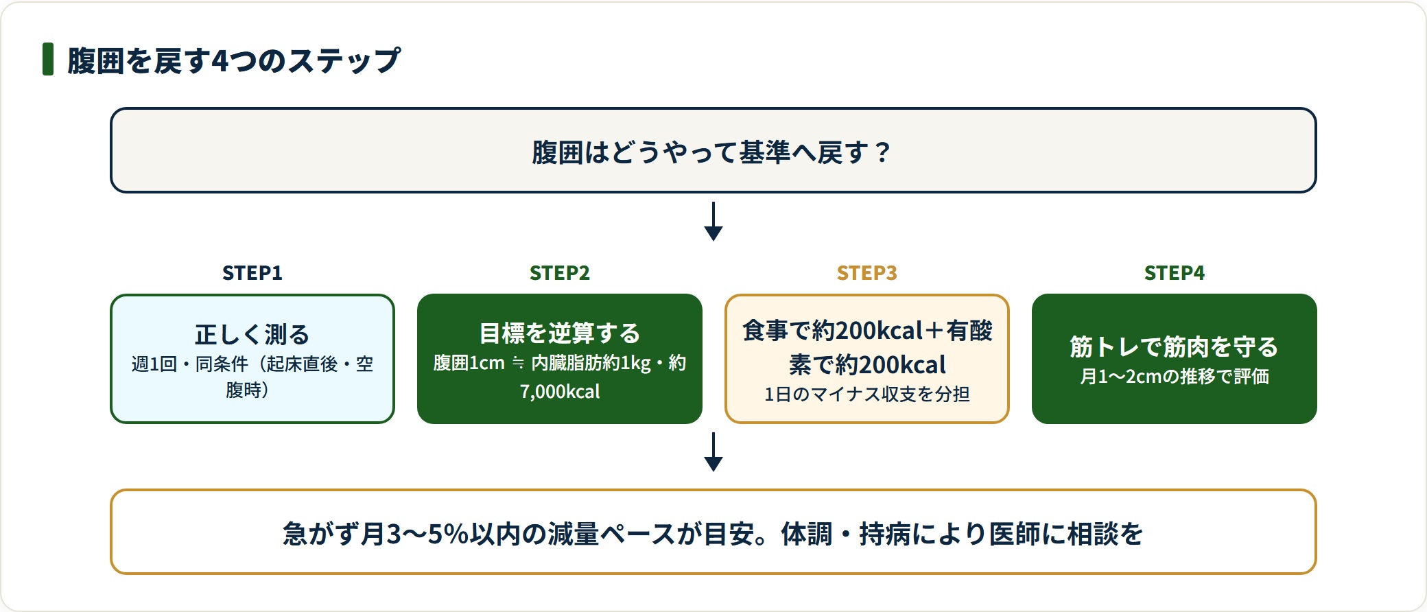 測る・逆算・食事と有酸素・筋トレの4ステップで腹囲を戻す流れを示した図。