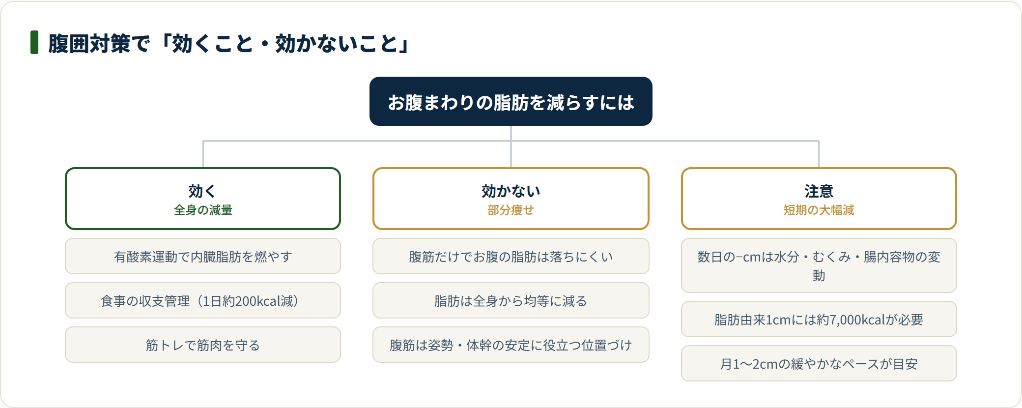 腹囲対策で効く全身減量・効かない部分痩せ・注意すべき短期減を分類した図。